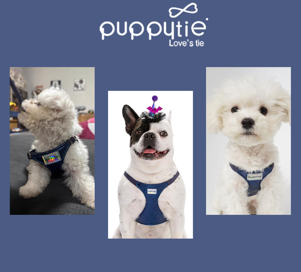 Emballage cadeau Puppytie prêt à offrir pour une surprise pratique.