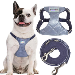 Harnais Puppytie anti-traction XXS pour un contrôle amélioré pendant les promenades.