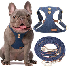 Harnais Puppytie pour petit chien denim bleu avec anti-tirage confortable.