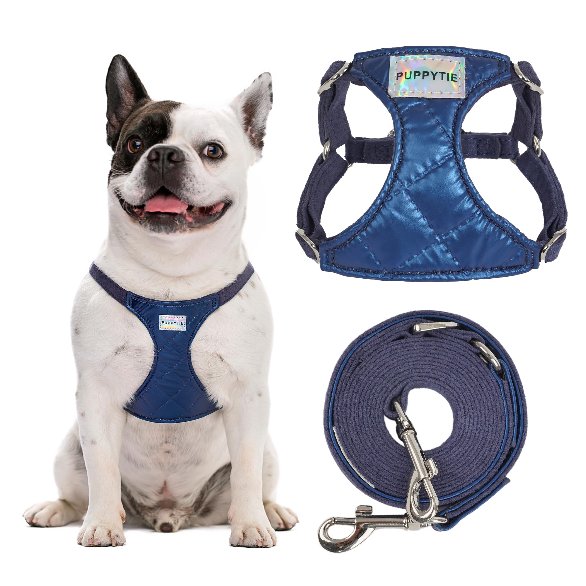 Puppytie harnais sans tir bleu saphir sur petit chien confortable pendant la balade.
