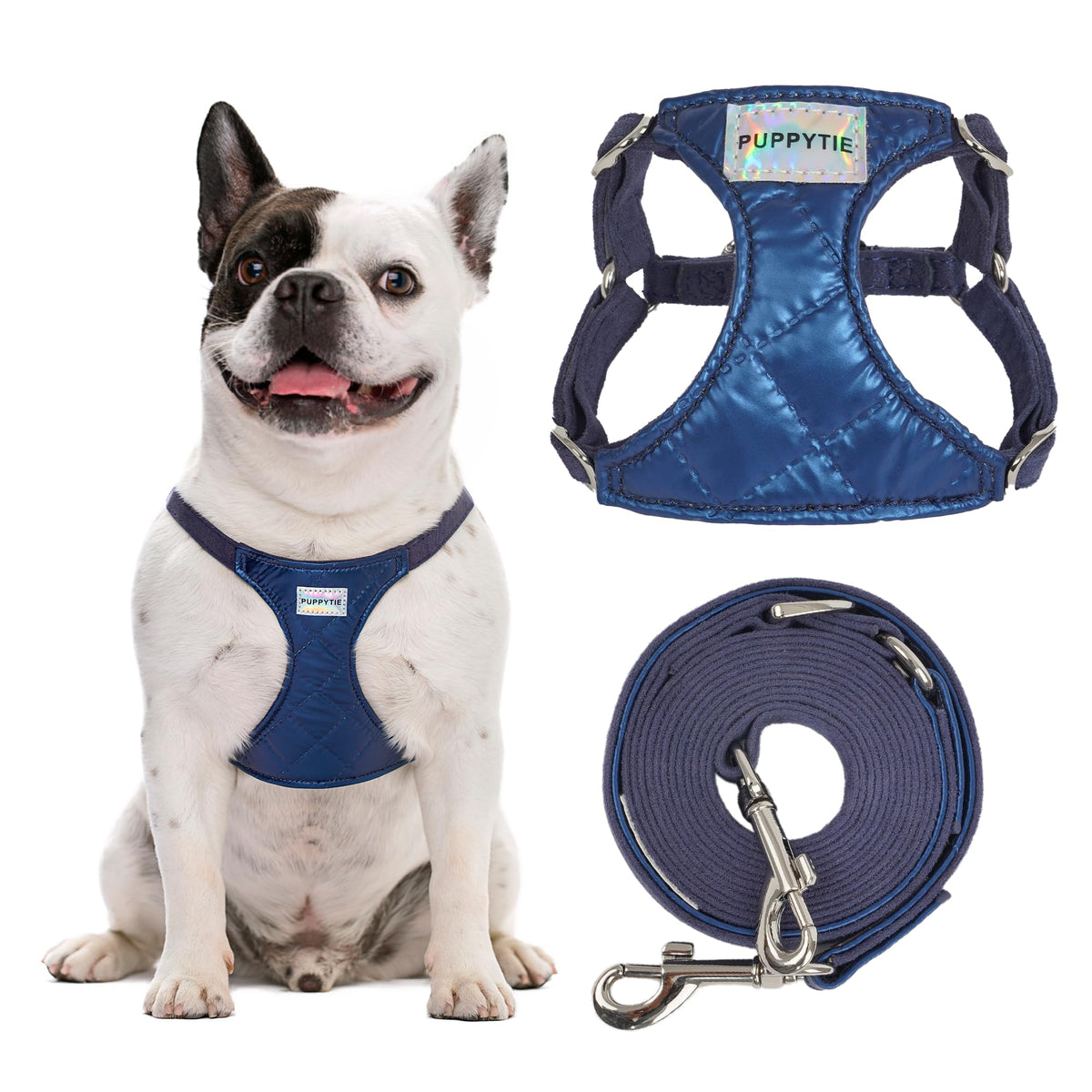 Puppytie harnais sans tir bleu saphir sur petit chien confortable pendant la balade.