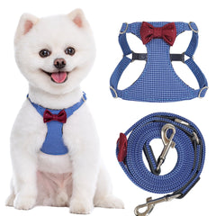 Harnais Puppytie anti-traction pour petit chien plaid bleu, confort et sécurité