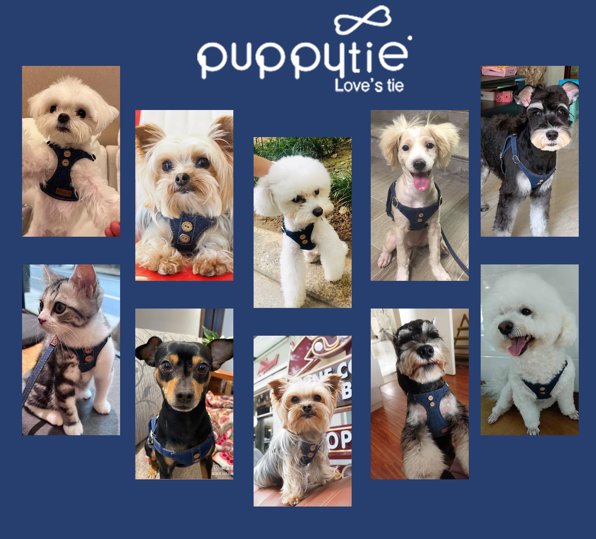 Harnais léger Puppytie pour petit chien, port confortable et mobilité accrue.