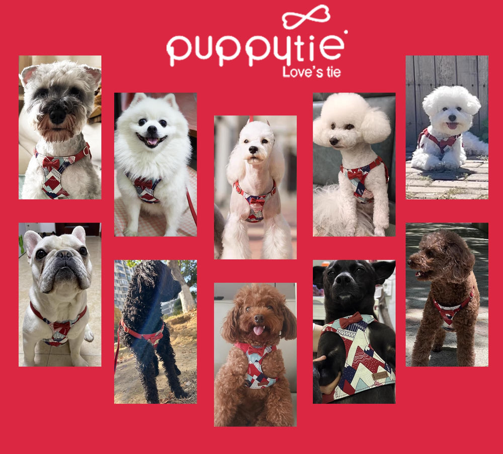 Puppytie harnais léger XS, poids plume pour sorties quotidiennes.