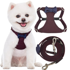 Puppytie harnais sans tirage pour petit chien, confort au quotidien et sécurité
