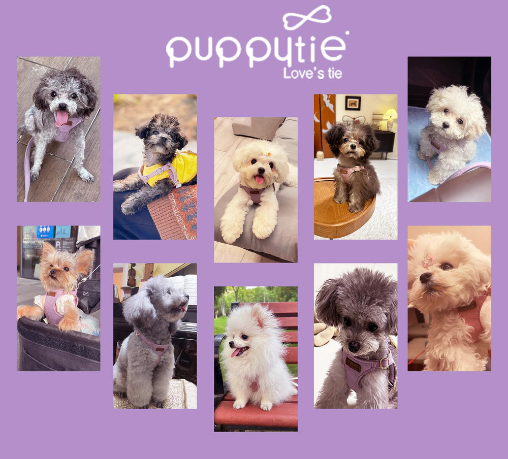 Puppytie harnais-xs leger et compact, facile a transporter.