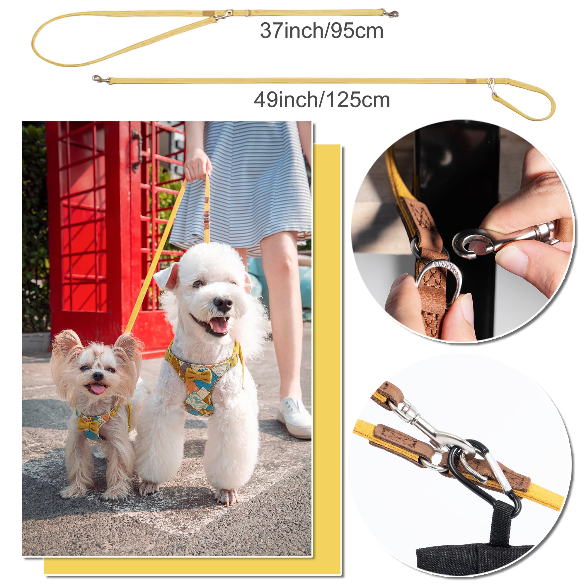 Puppytie laisse double longueurs XS, pratique pour suivre deux chiens.