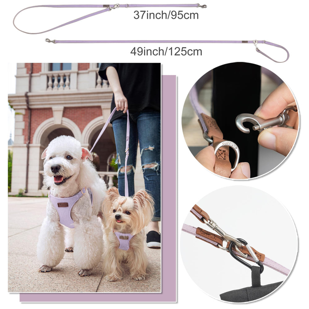 Laisse multifonctionnelle Puppytie à deux longueurs pour sorties flexibles.