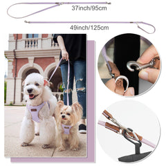 Laisse multifonctionnelle Puppytie à deux longueurs pour sorties flexibles.