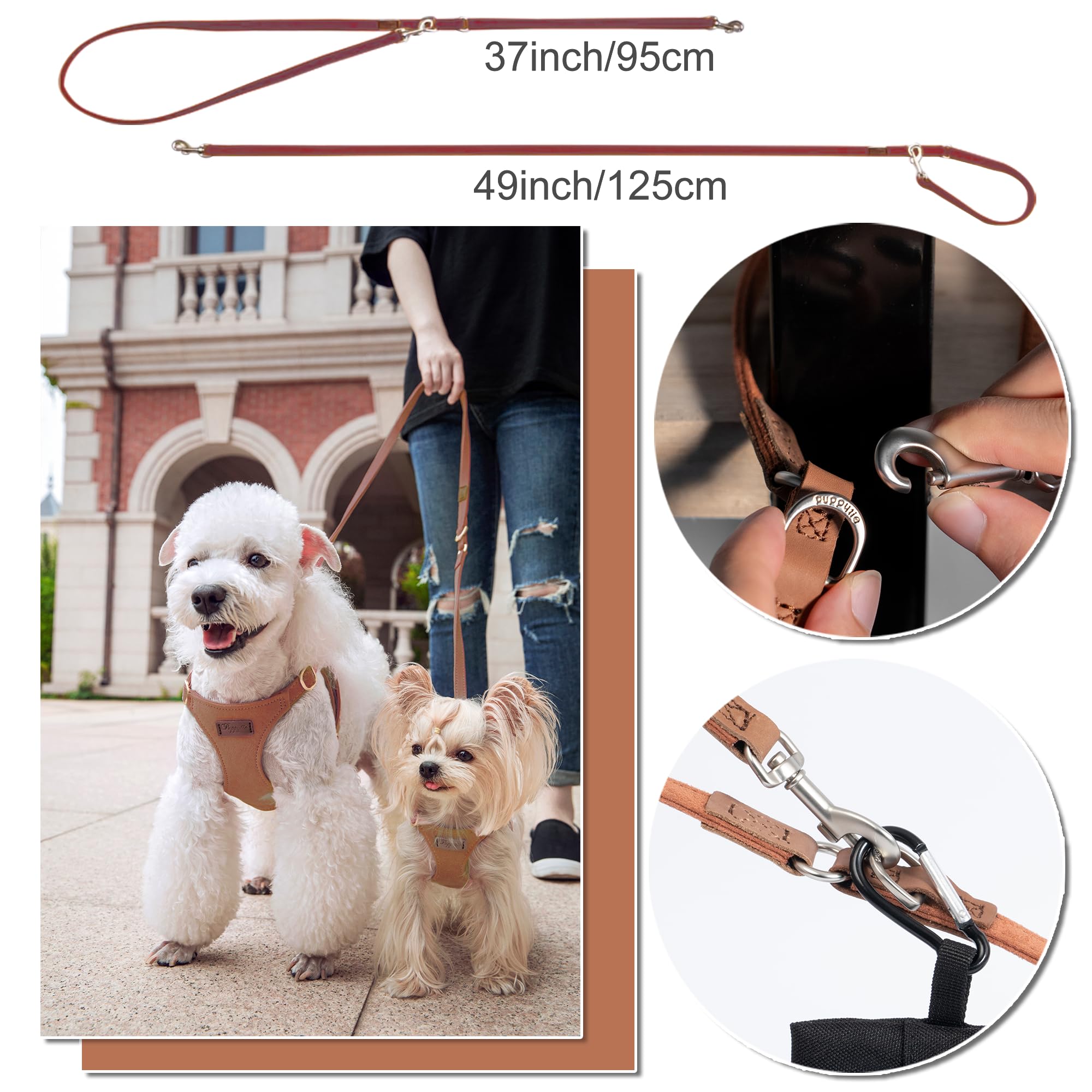 Laisse multifonction double longueur pour promenades flexibles.