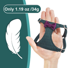 Laisse multiusage Puppytie pour deux chiens, longueurs 49 et 37 pouces