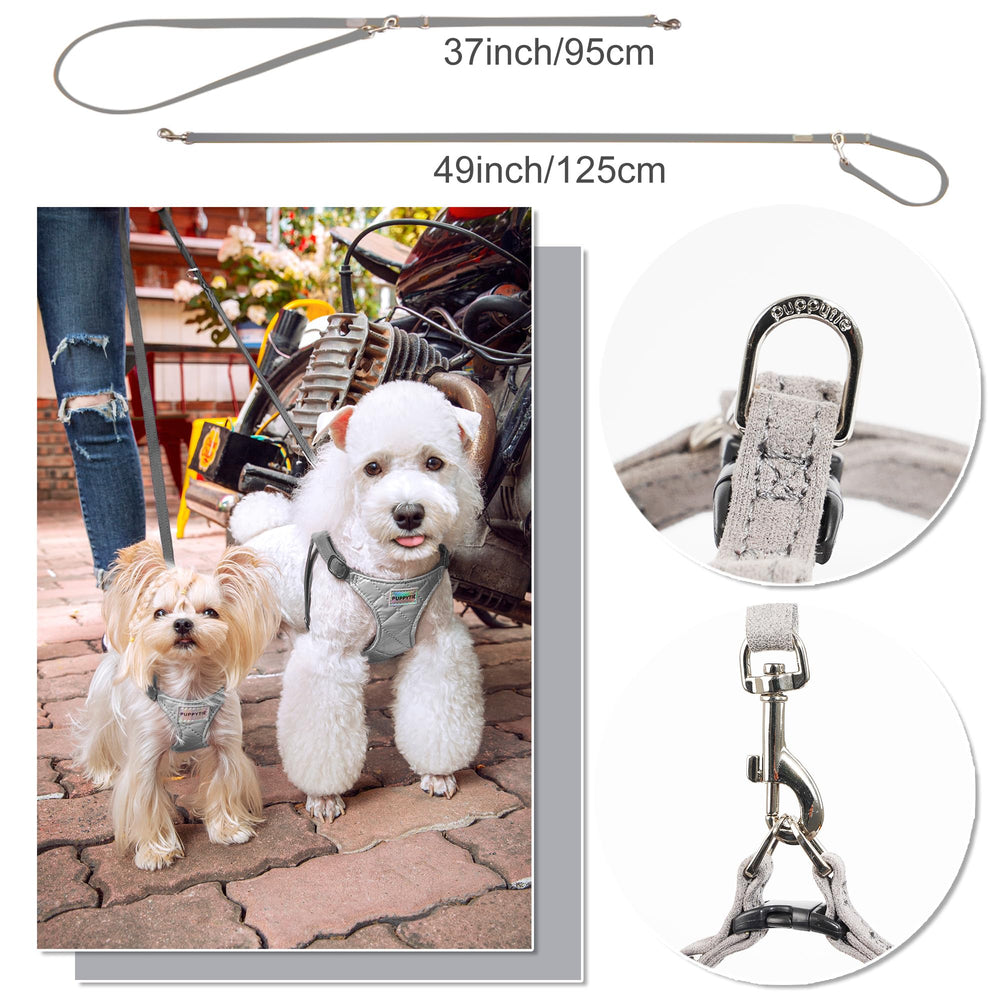 Longe multifonction Puppytie permettant deux chiens avec une seule sangle.