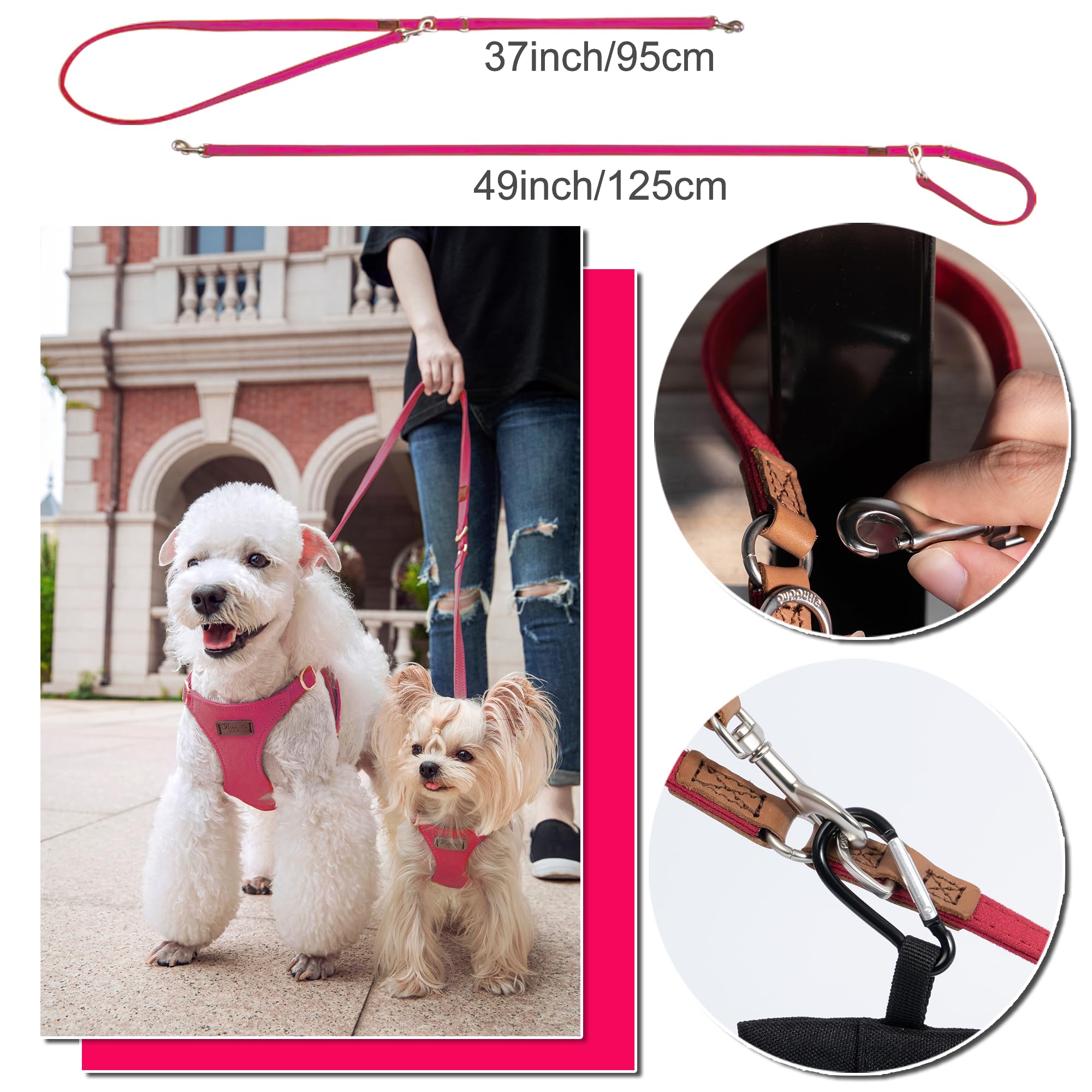 Longe multifonctionnelle Puppytie à deux longueurs pour promener un ou deux chiens.