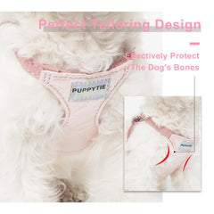 Longe multifonction Puppytie 49 et 37 pouces, pratique pour deux chiens.