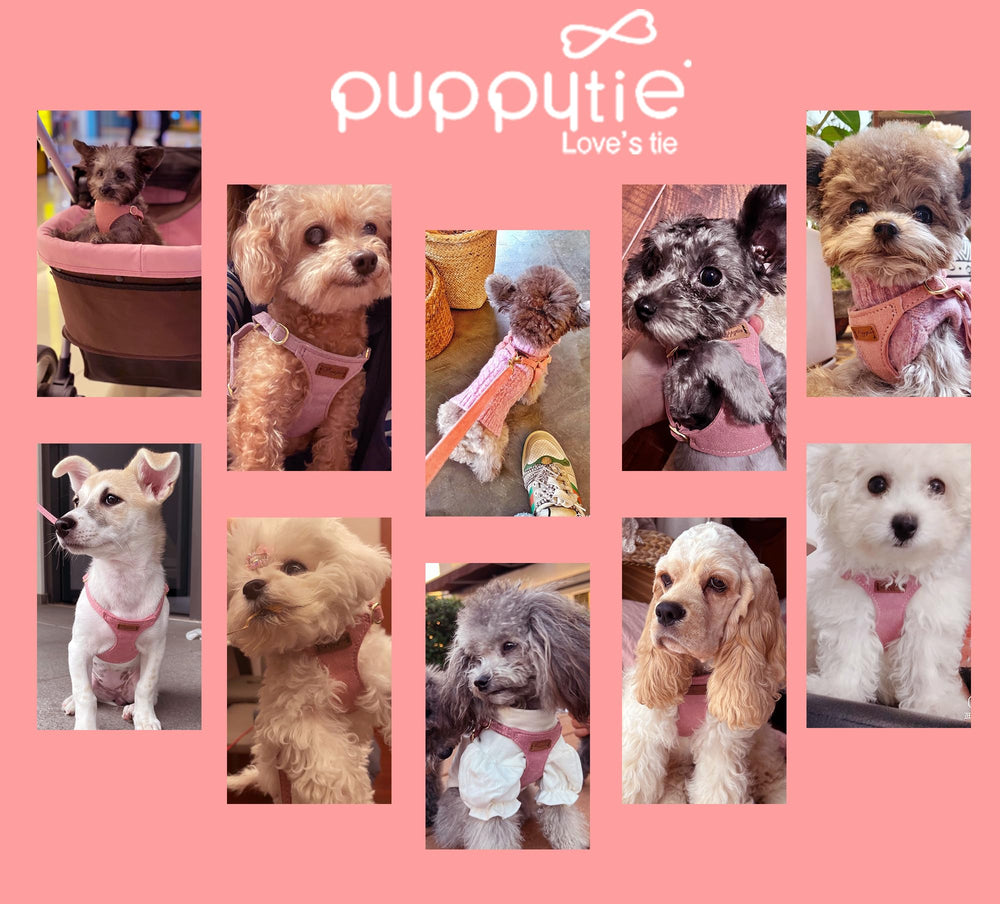 Matériaux Puppytie durables et ferrures résistantes à l'eau.