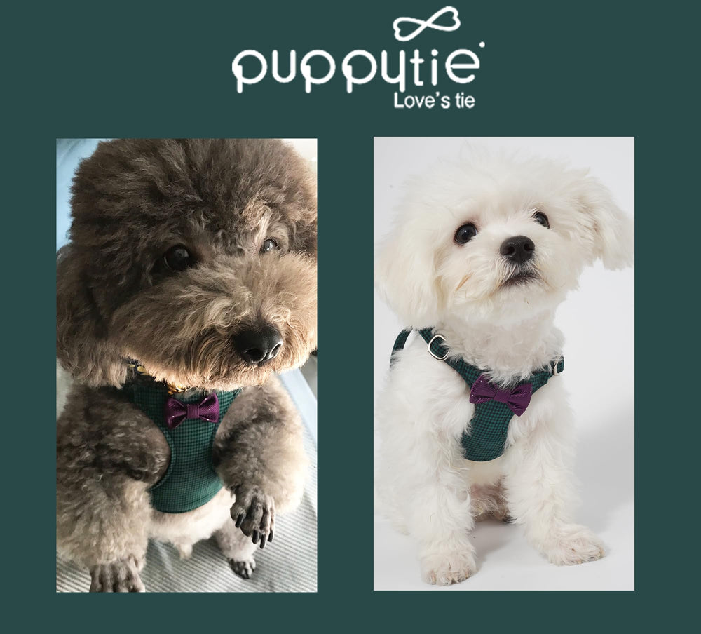 Emballage cadeau Puppytie et service client dédié.
