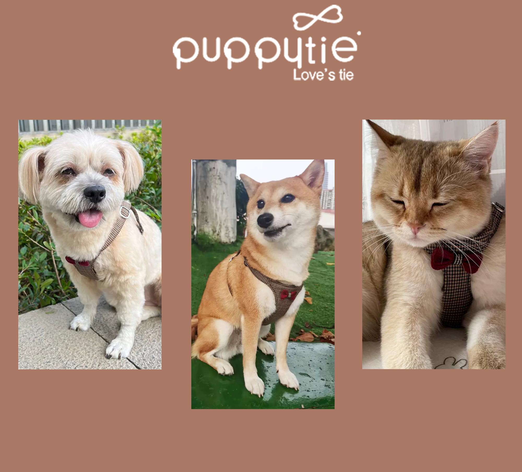 Emballage cadeau Puppytie et service client réactif.