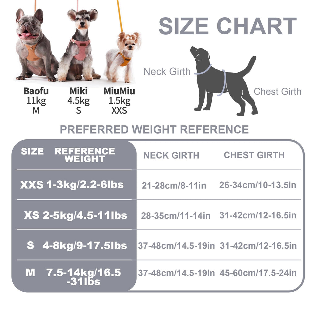 Packaging cadeau Puppytie, prêt à offrir pour les propriétaires d’animaux.