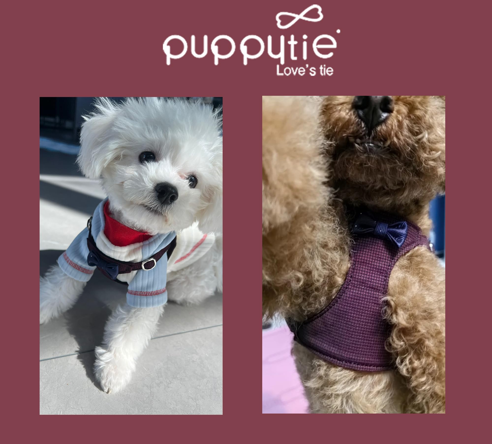 Emballage cadeau Puppytie et service client dédié