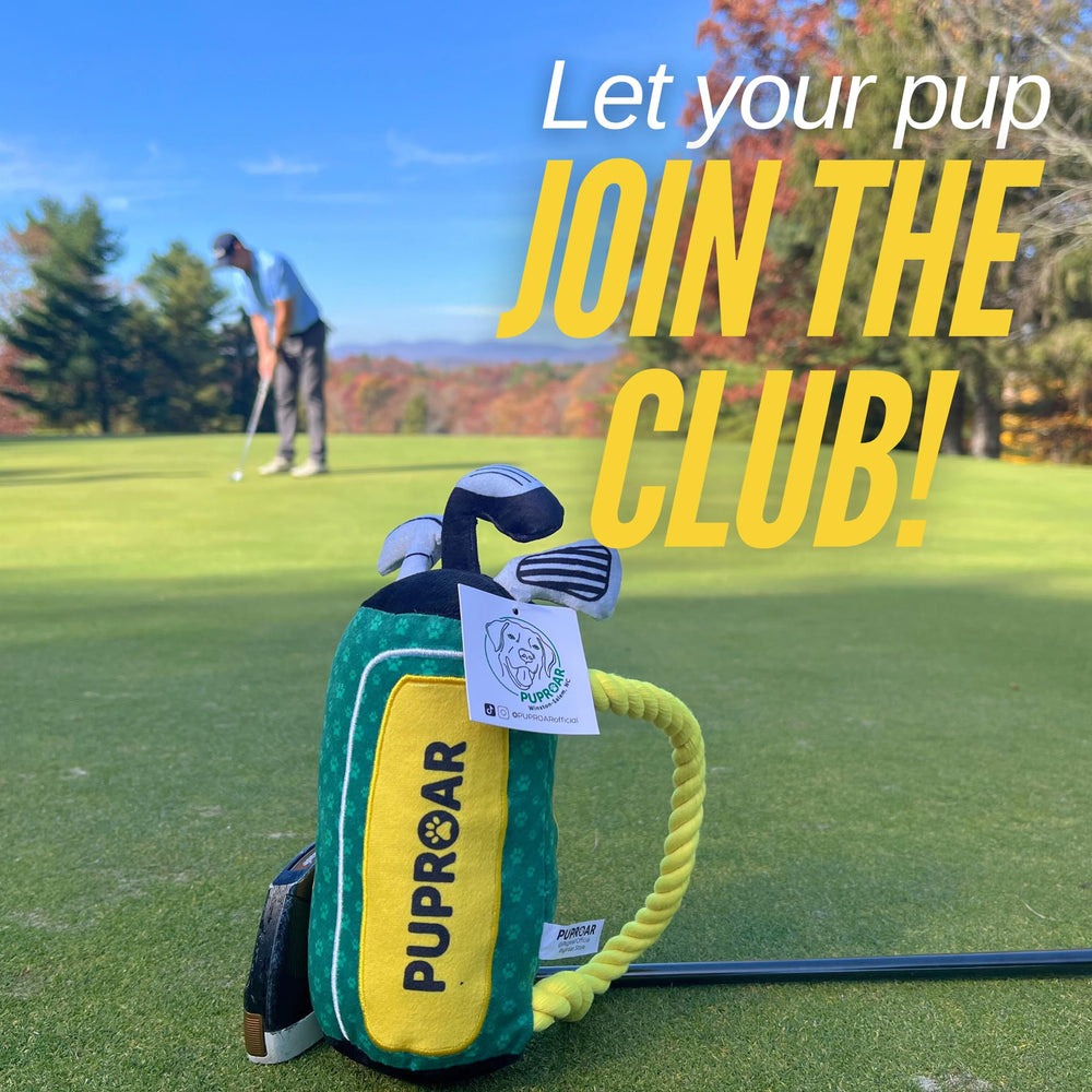 Jouet PUPROAR Golf cadeau original pour anniversaire canin.