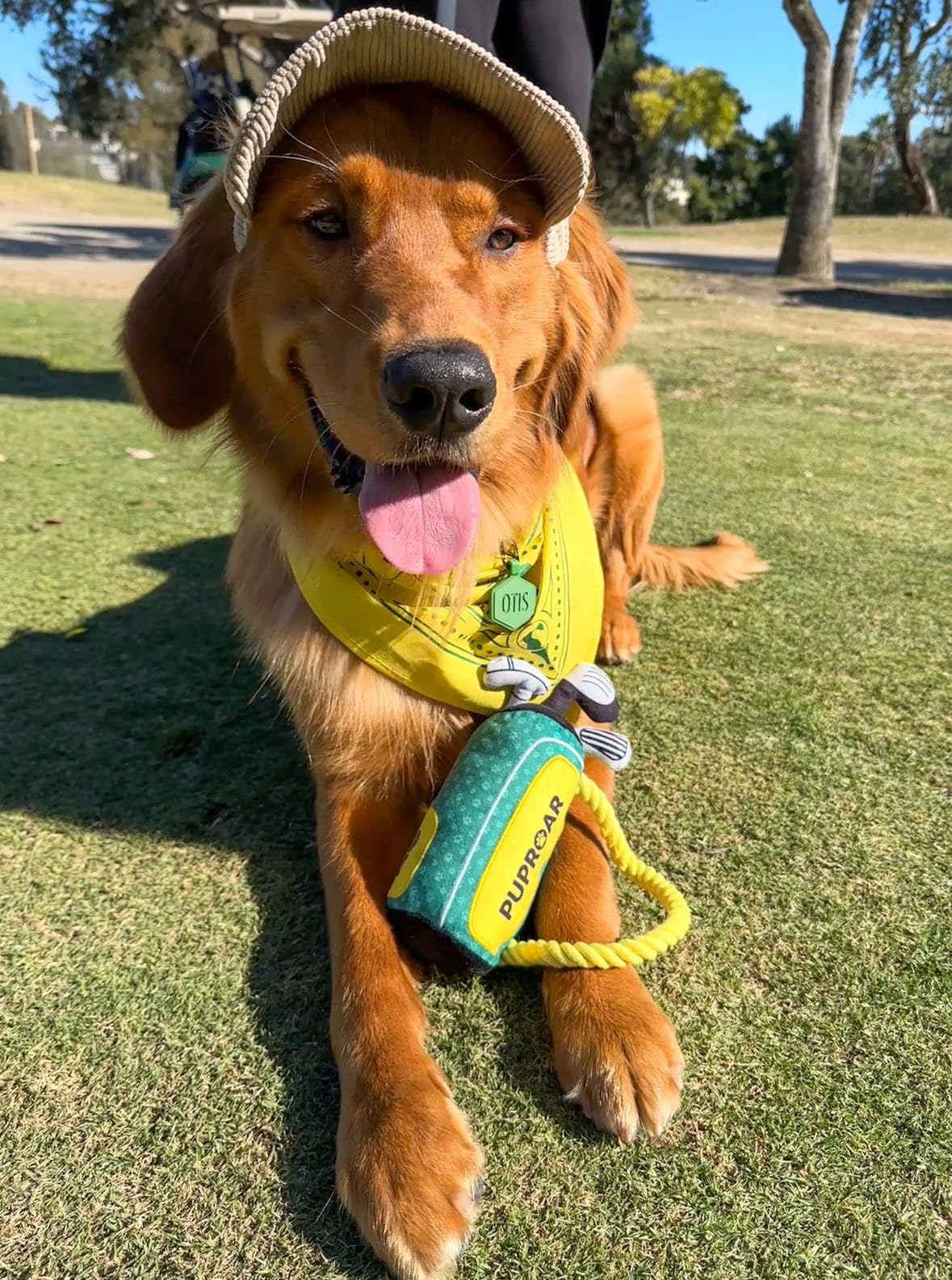 Jouet PUPROAR Golf peluche douce, agréable au toucher.