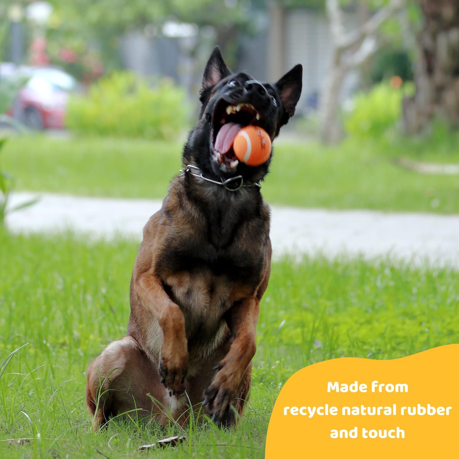 Caoutchouc naturel recyclé Pup's Pick, matériau durable et sûr.