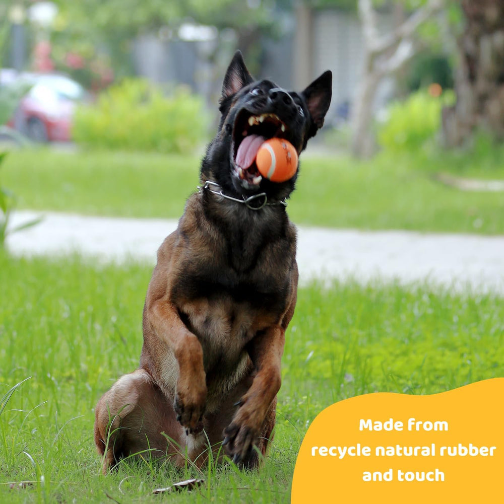 Caoutchouc naturel recyclé Pup's Pick, matériau durable et sûr.