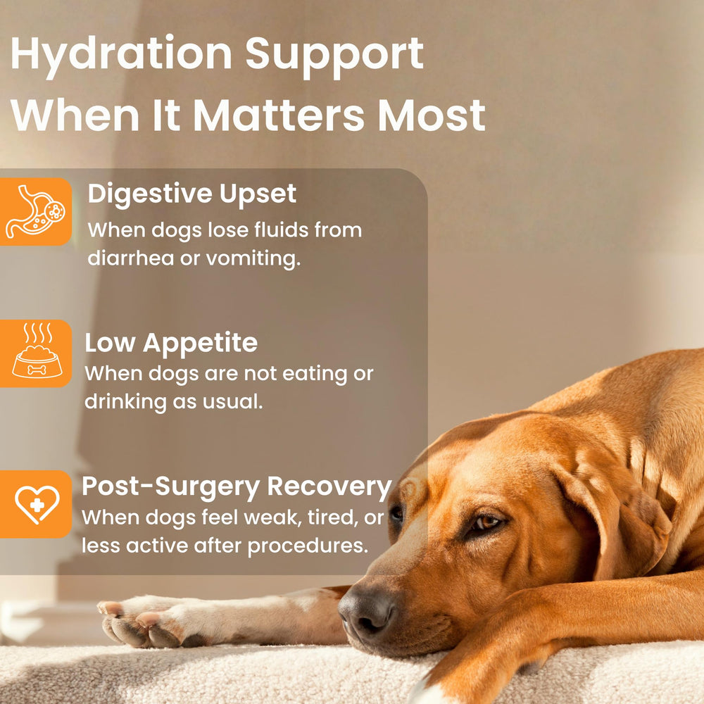 PupSip soutien digestif chiens: champignon queue-de-dinde et cordyceps.