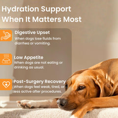 PupSip soutien digestif chiens: champignon queue-de-dinde et cordyceps.