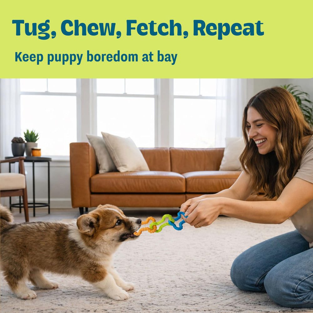Pupstages Bone Tugz—caoutchouc resistente adapte aux mordillages moderes.