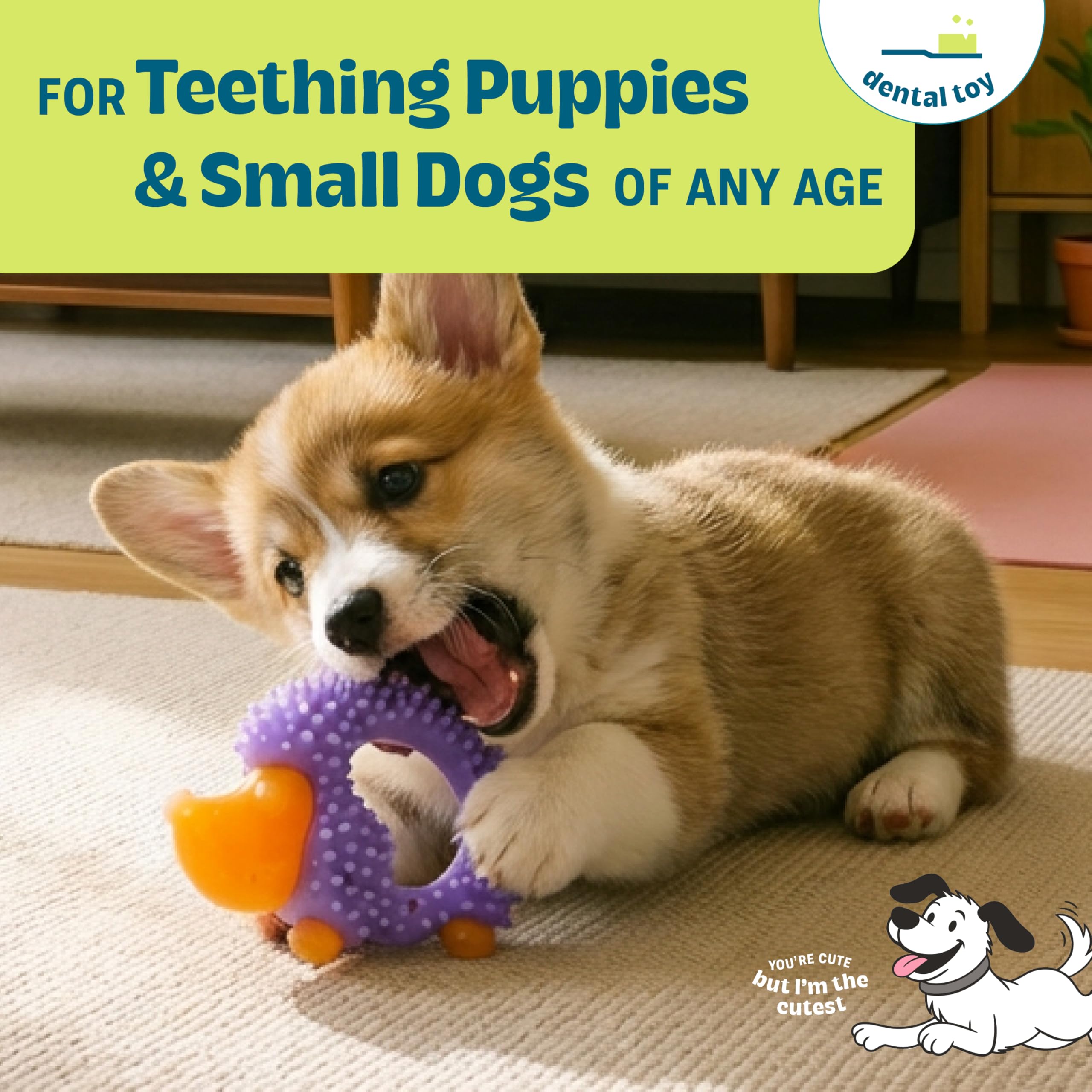Pupstages Cutie Chewies Hérisson – flotteur pour jeux d'eau des chiots