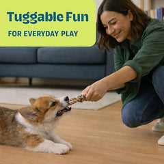Pupstages Dentachew Mini corde et traction pour jeux de tir et fetch.