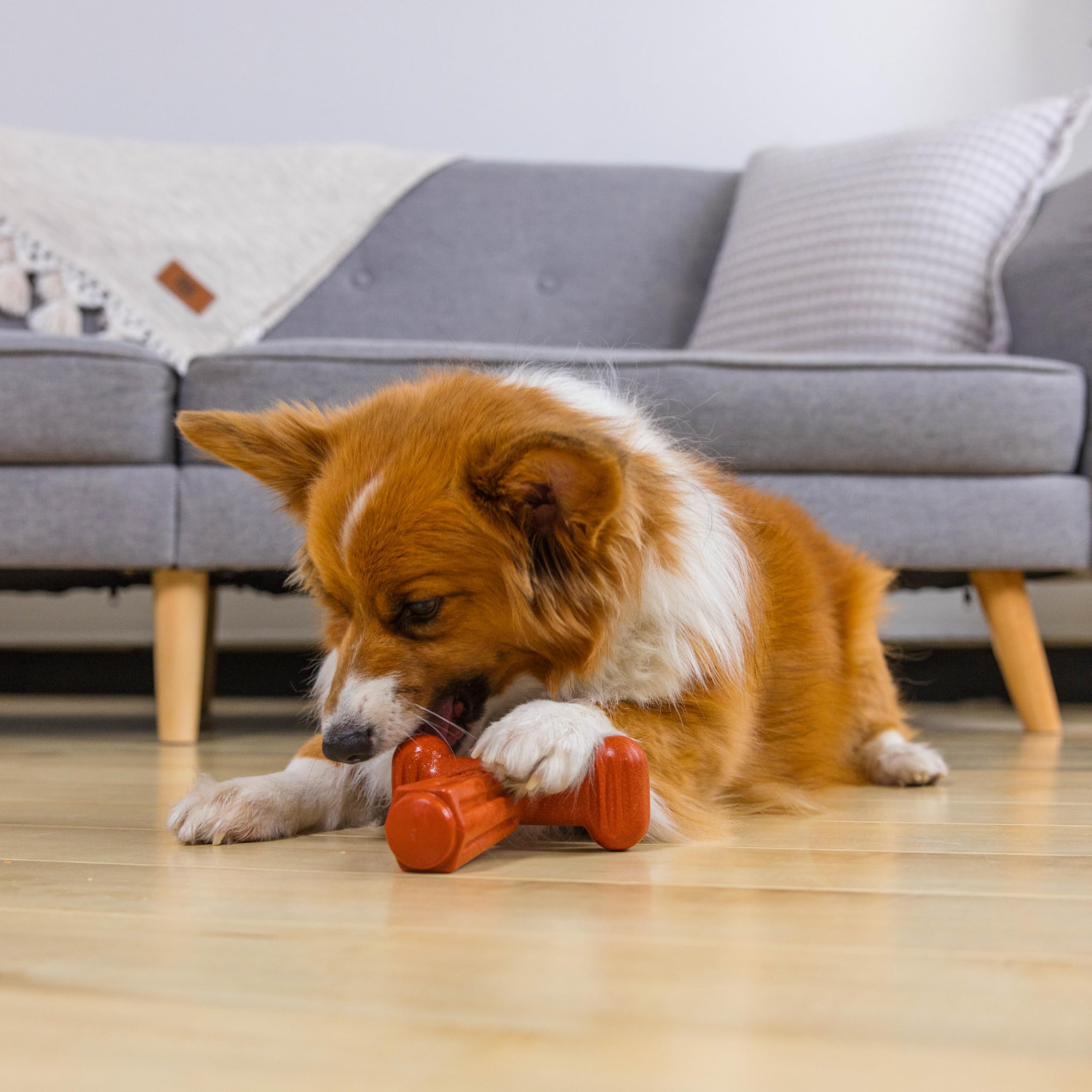 Pupstages Dogwood: fabriqué aux États‑Unis, qualité et durabilité.