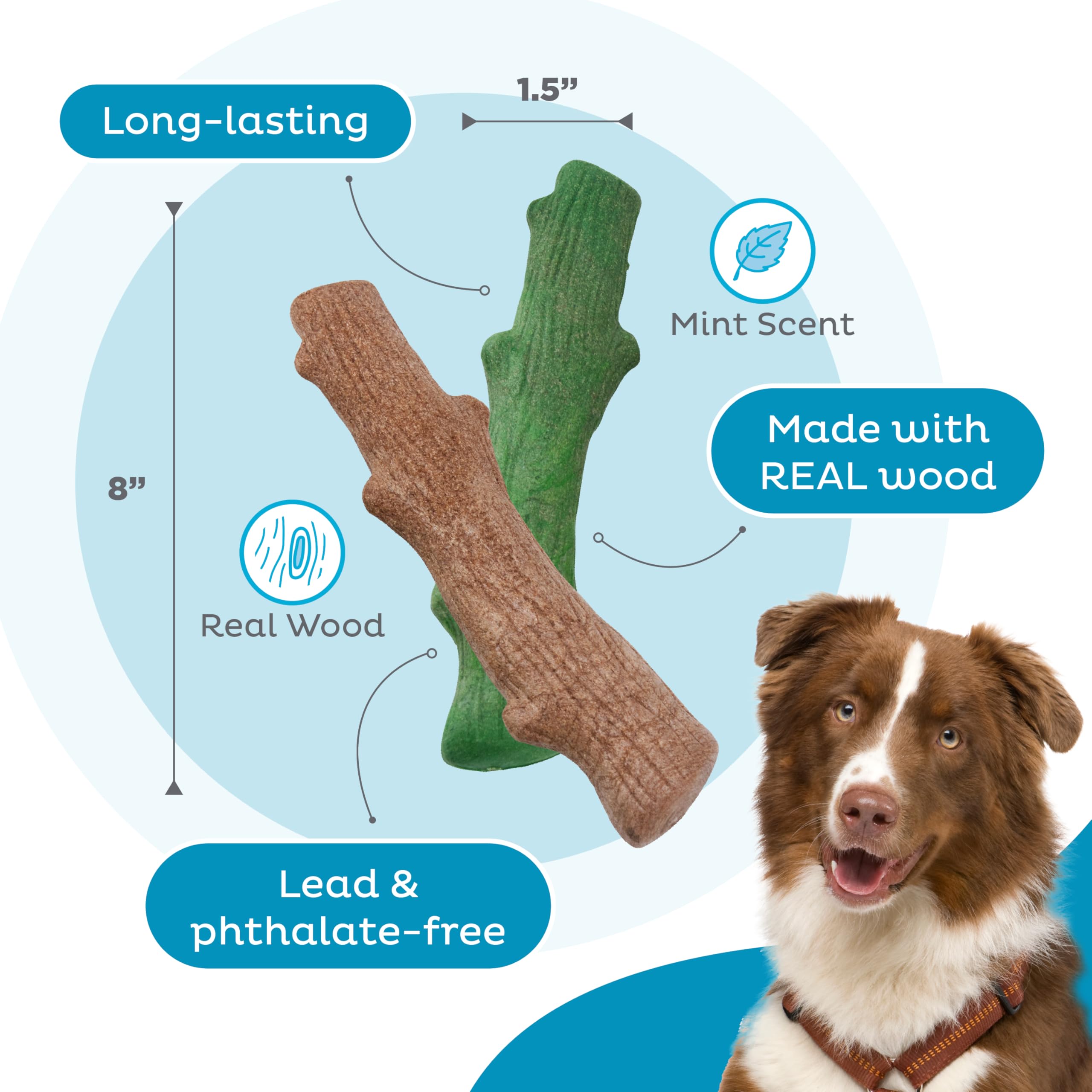 Pupstages Dogwood sante-dents: mastic doux pour dents et gencives