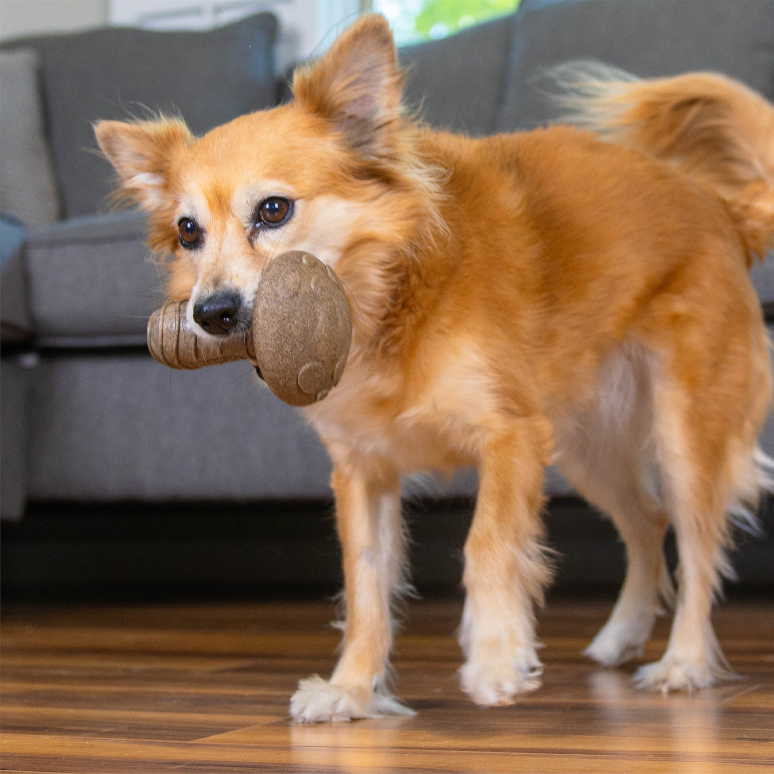 Pupstages Outward Hound Dogwood — version TPE adaptée pour les chiots en dentition
