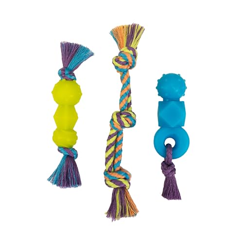 Pupstages Pack Dentachew Mini ensemble, trio de jouets dentaires pour chiots.