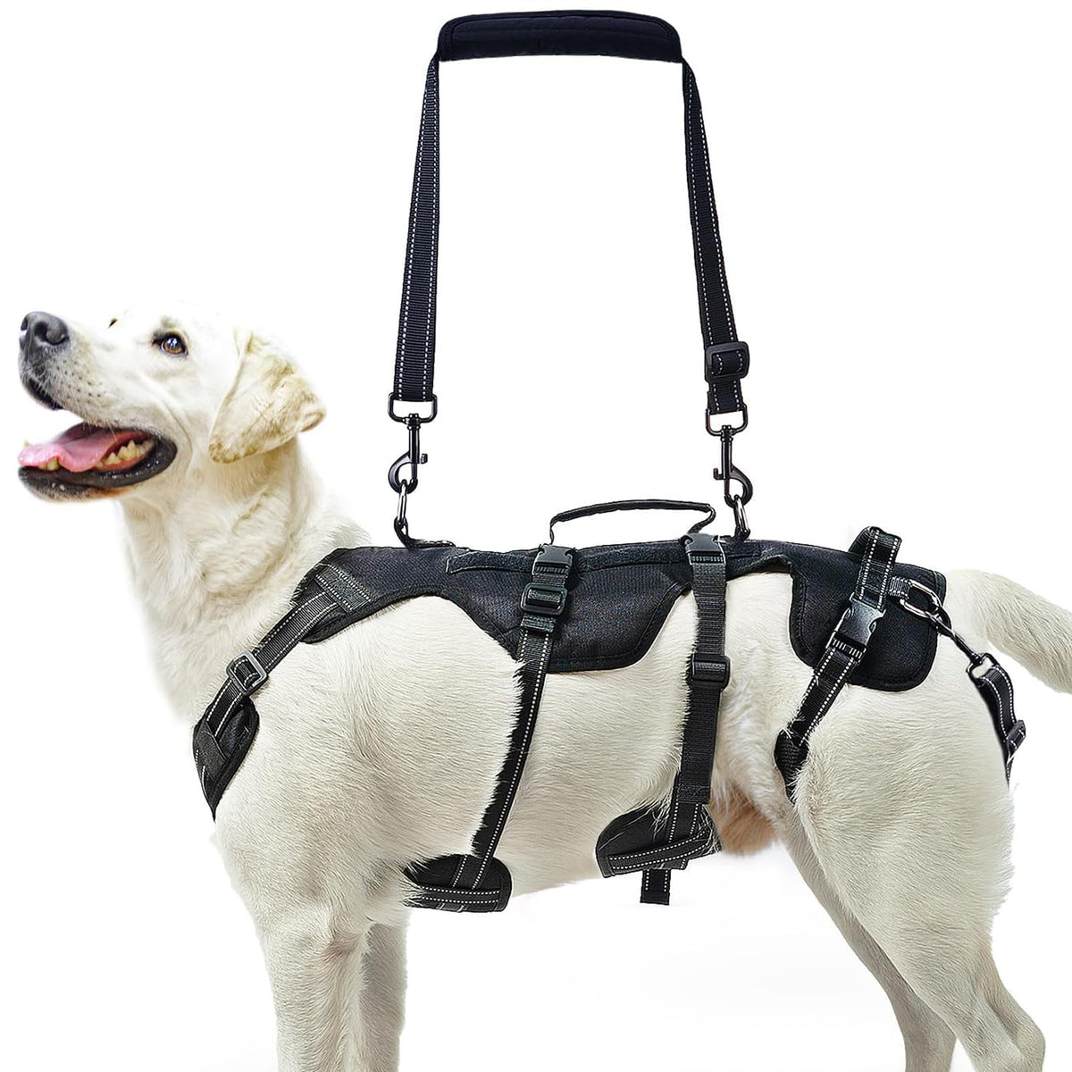 Harnais d’aide mobilité PUPTECK pour chien moyen-grand facilitant les montées