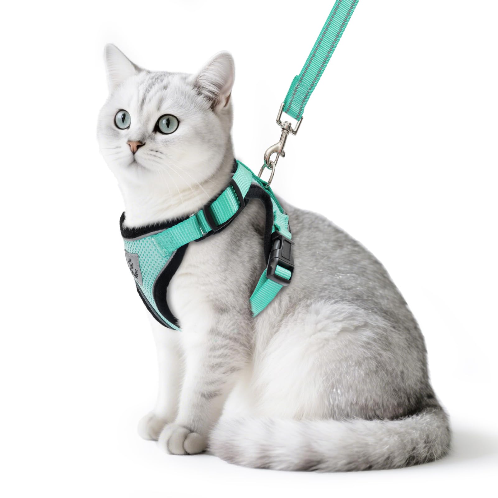 PUPTECK harnais-chat ajusté pour sorties sécurisées en plein air.