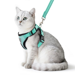 PUPTECK harnais-chat ajusté pour sorties sécurisées en plein air.