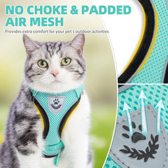PUPTECK laisse-chat longueur 1m5 prête à guider les promenades.