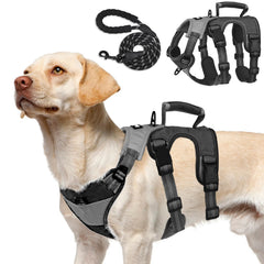 PUPTECK harnais chien avant, contrôle renforcé pour éviter l'évasion.