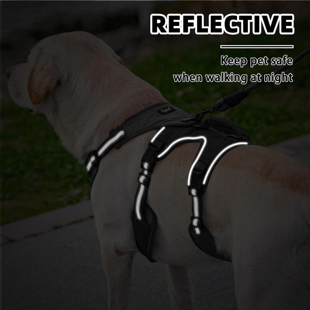 PUPTECK bandes réfléchissantes renforcent la visibilité en soirée.