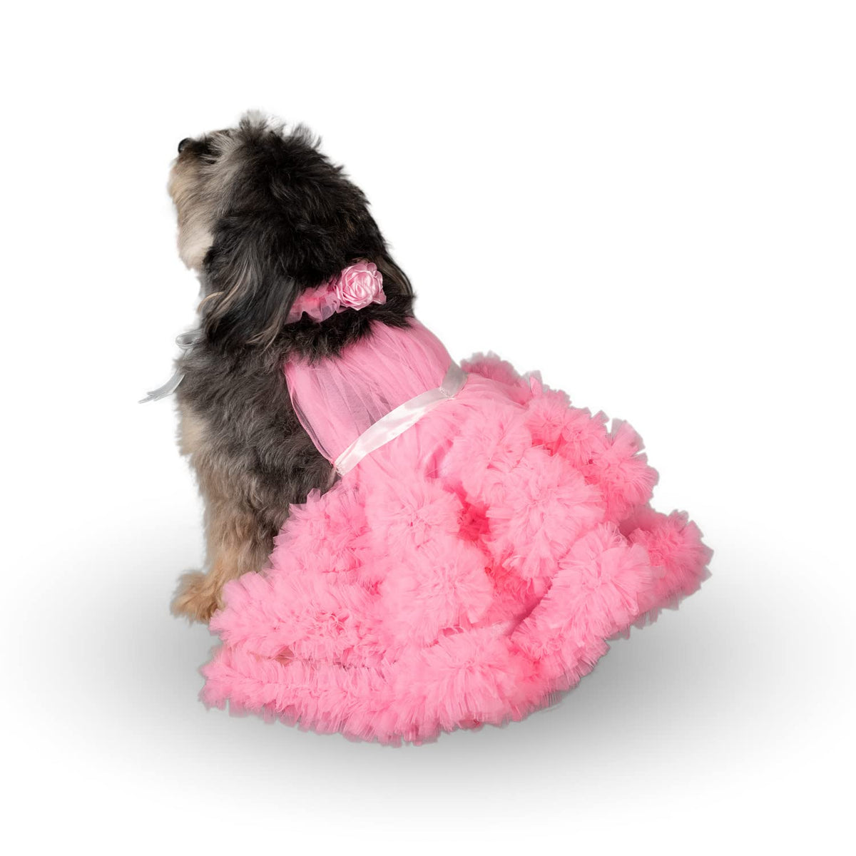 Puptail robe chien bandana fleurs pour une allure printanière et festive.