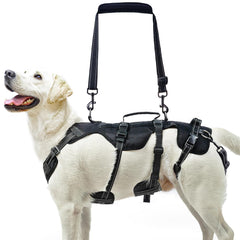 PUPTECK harnais-levage-avant, soutien pratique pour escaliers et transferts.