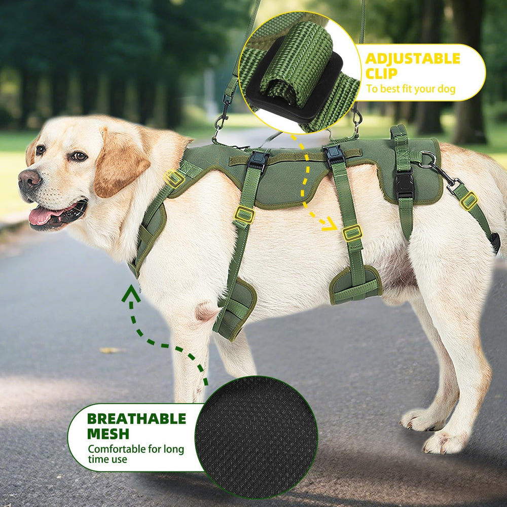 Guide de taille XL du harnais PUPTECK, mesures complètes pour ajustement fiable