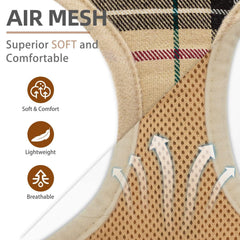 Laisse assortie PUPTECK beige, pratique et légère.