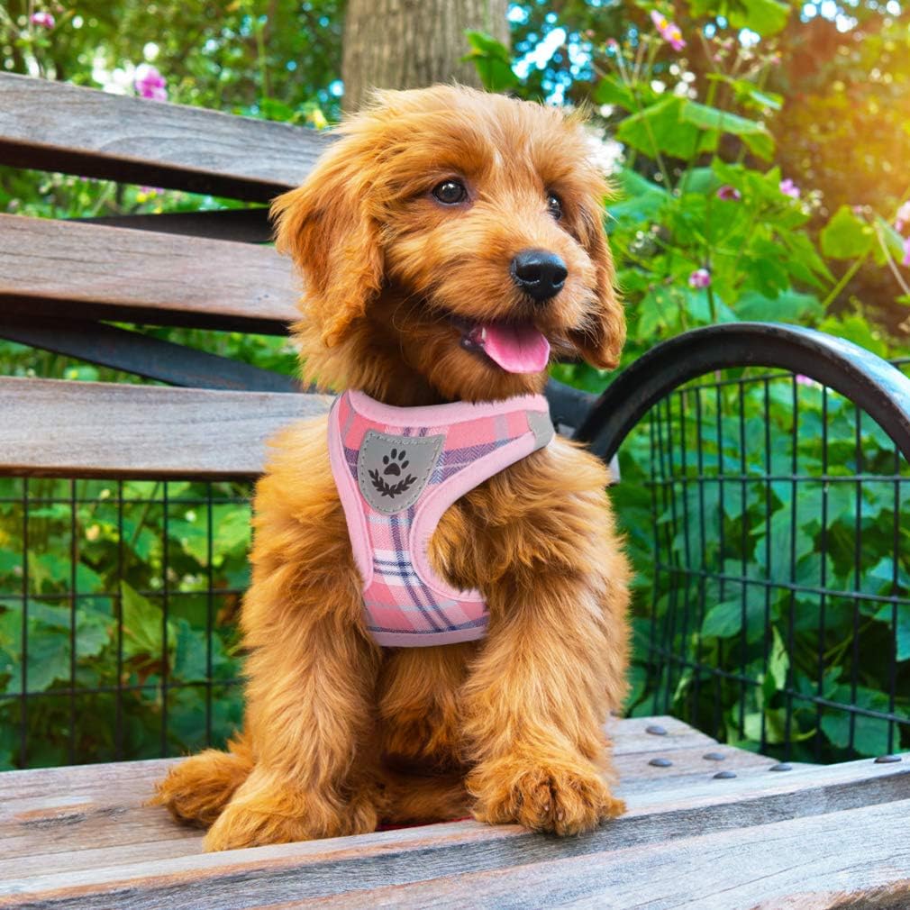 Guide tailles PUPTECK harnais, ajustement précis pour chien et chat.