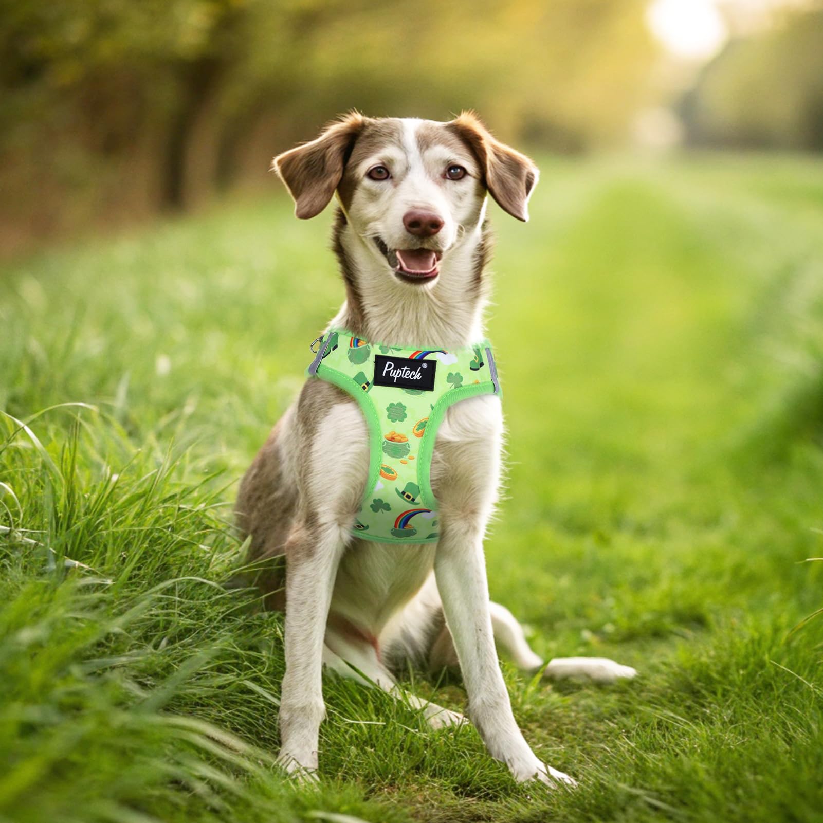 Guide des tailles PUPTECK pour choisir la bonne taille pour petits chiens.