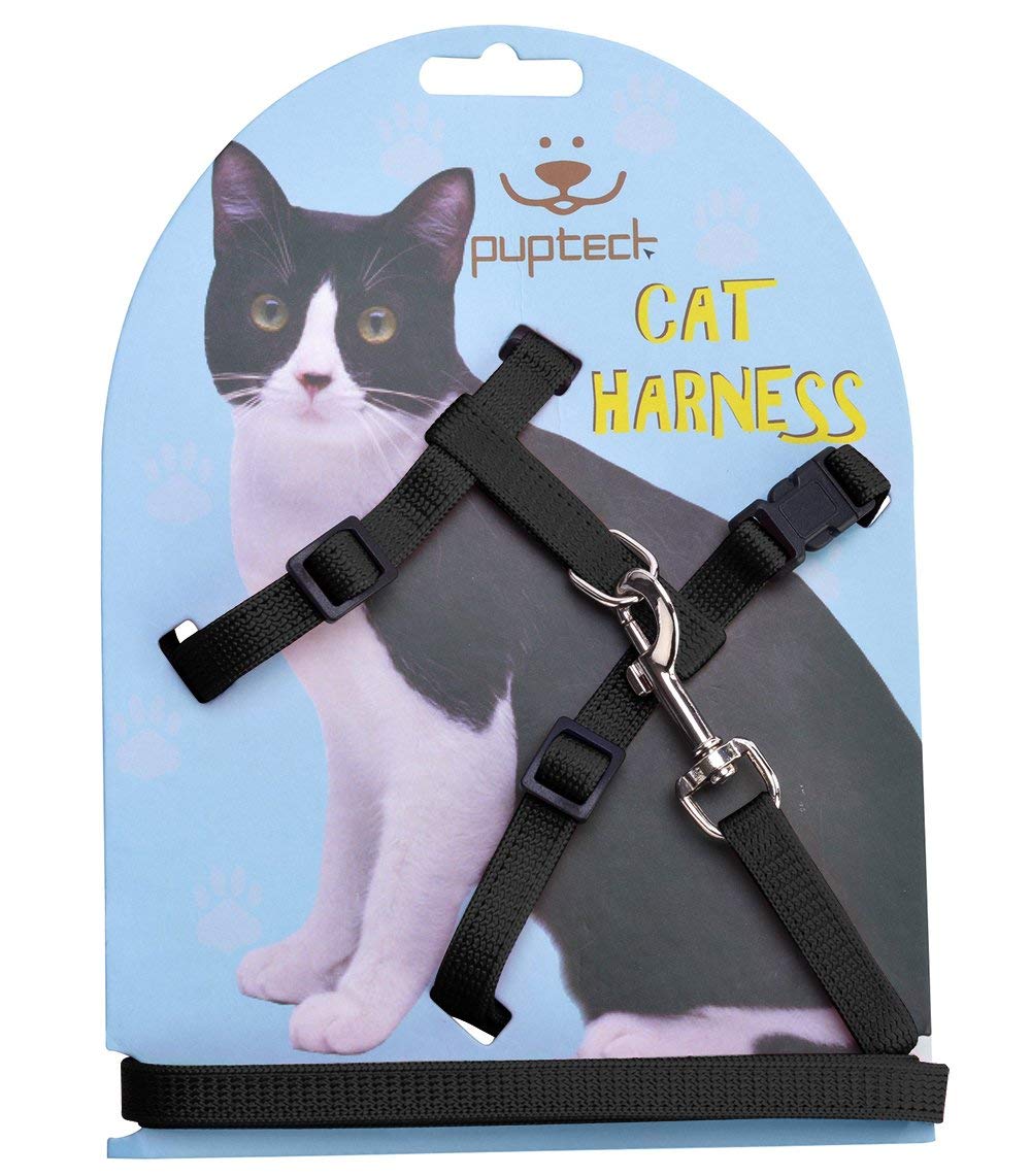 Harnais PUPTECK ajustable sur chat, confort pendant la balade.