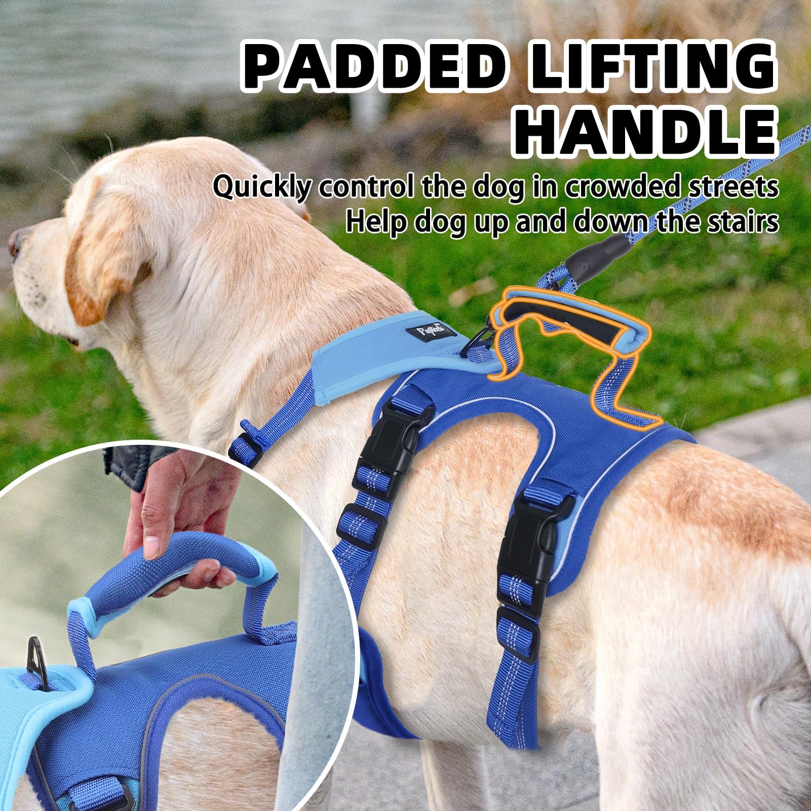 Harnais PupTeck avec clip arrière pour promenades et activités quotidiennes.